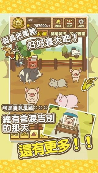 养猪场MIX最新版本2024下载