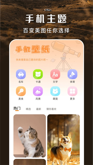 主题盒安卓仿苹果免费版下载