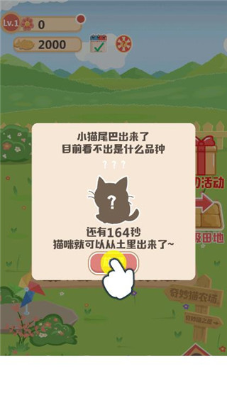 奇妙猫之家免广告普通下载