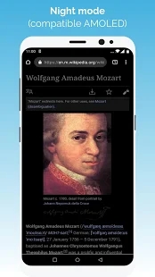 kiwibrowser浏览器下载安装