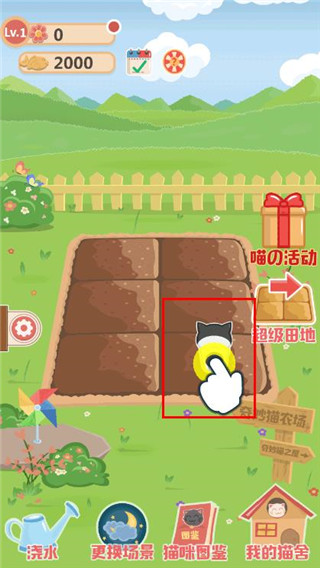 奇妙猫之家免广告普通下载