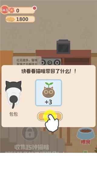 奇妙猫之家免广告普通下载