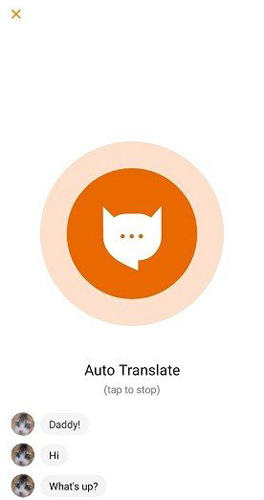 meowtalk喵说安卓版下载