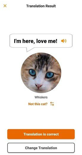 meowtalk喵说安卓版下载