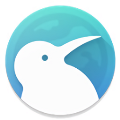 kiwibrowser浏览器下载安装